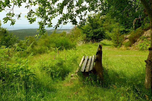 则成为本赛 则成为本赛