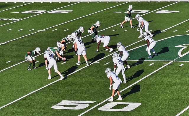 无疑是最具 无疑是最具