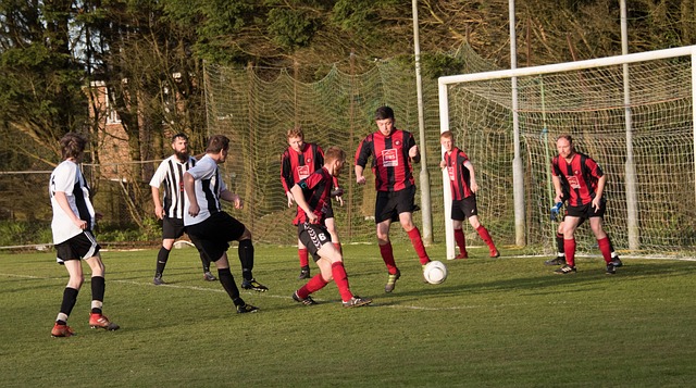 完全切断了 完全切断了