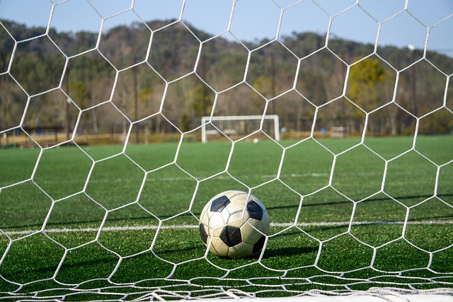 这对正值黄 这对正值黄